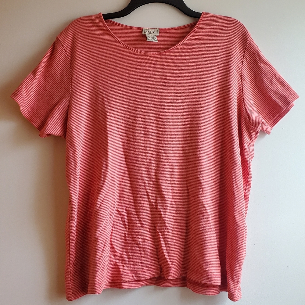L.L. Bean Women's Pink Thin-Striped Short Sleeve Shirt
